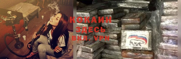 спайс Нея