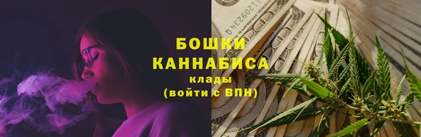 спайс Нея