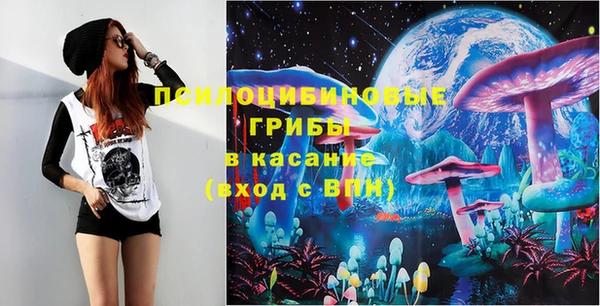 ГАЛЛЮЦИНОГЕННЫЕ ГРИБЫ Надым