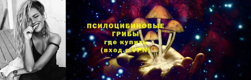 закладки  Куровское  Галлюциногенные грибы Magic Shrooms 