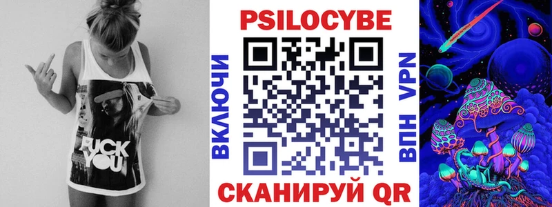 мега зеркало  Куровское  Псилоцибиновые грибы мицелий 